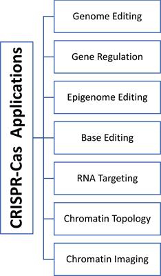 Frontiers The State of the Art of Gene Editing and its